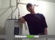 About Oregano Oil
